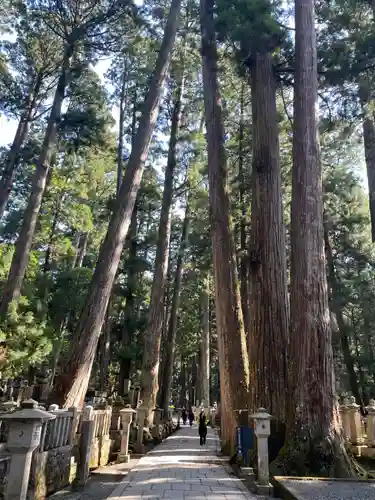 高野山金剛峯寺奥の院(和歌山県)