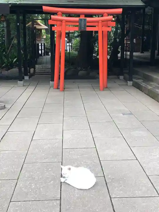 愛宕神社の動物