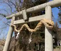 下野 星宮神社の鳥居