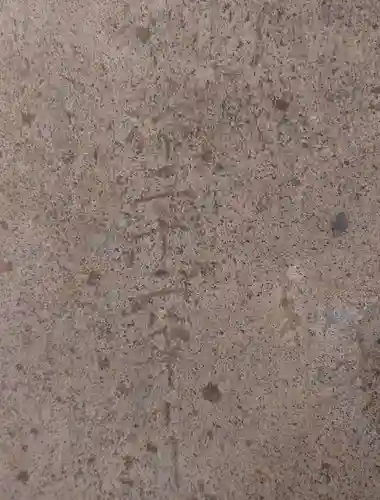 三島神社(栃木県)