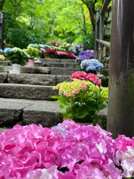 長谷寺(奈良県)