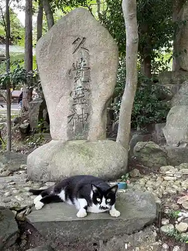 玉野御嶽神社の動物