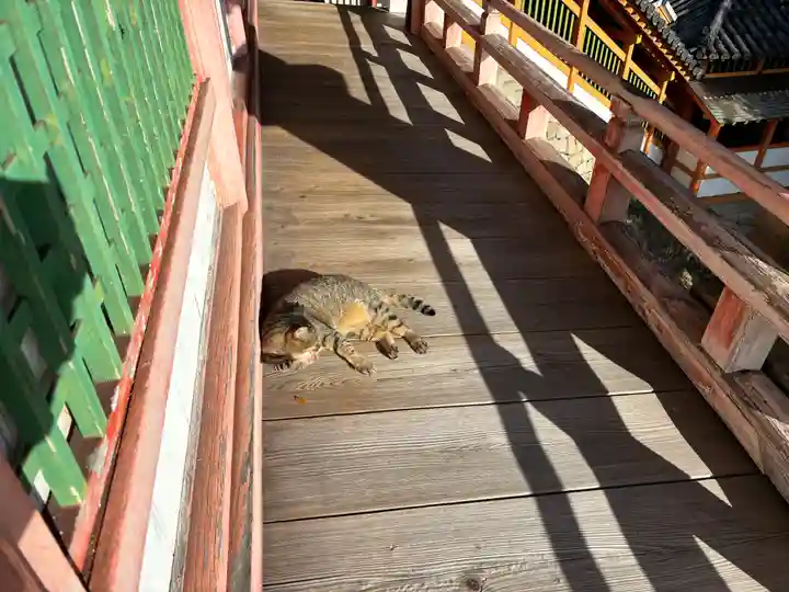 磐台寺(広島県)