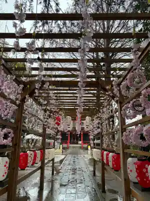 越谷香取神社の{uncategorized: "未分類", other: "その他", undefined: "問題あり", building: "その他建物", grave: "お墓", sacred_gate: "鳥居", guardian: "狛犬", statue: "像", buddha: "仏像", history: "歴史", nature: "自然", garden: "庭園", animal: "動物", pagoda: "塔", temizu: "手水舎", mountain_gate: "山門・神門", sanctuary: "本殿・本堂", subordinate: "末社・摂社", art: "芸術", scenery: "景色", jizo: "地蔵", ema: "絵馬", goshuin: "御朱印", omikuji: "おみくじ", items: "授与品その他", amulet: "お守り", goshuincho: "御朱印帳", eats: "食事", festival: "お祭り", votive_dance: "神楽", shichigosan: "七五三参", wedding: "結婚式", experience: "体験その他", initially: "初詣", around: "周辺", anti_infection: "感染症対策"}