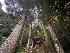 熊野神社(福井県)