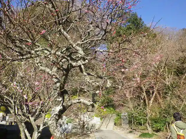 妙本寺の庭園