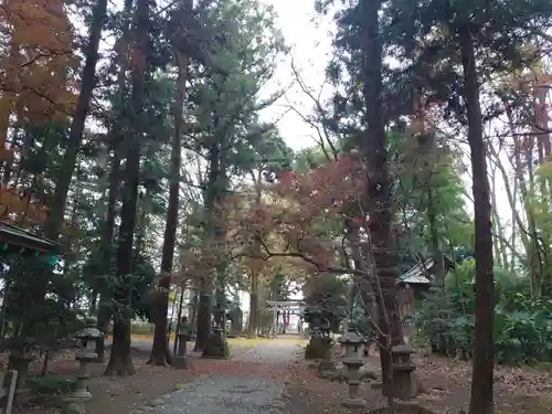 生品神社の自然