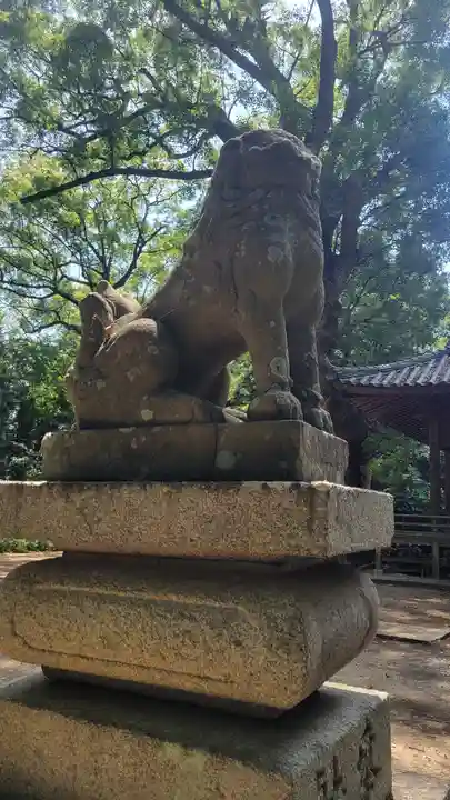 伊豫神社(愛媛県)
