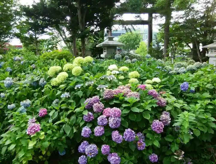 西野神社(北海道)