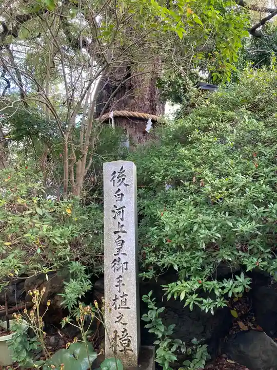 新熊野神社の自然