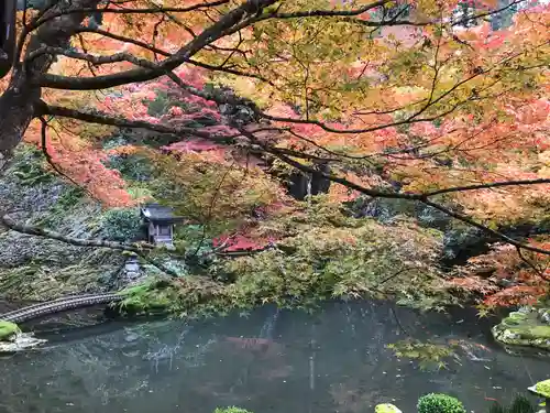 慈恩護国禅寺の庭園