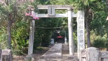 日枝神社の鳥居