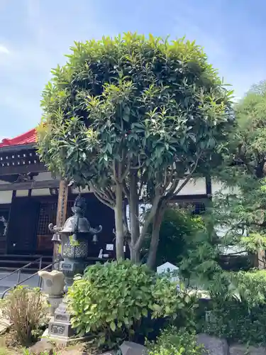 最勝寺(神奈川県)