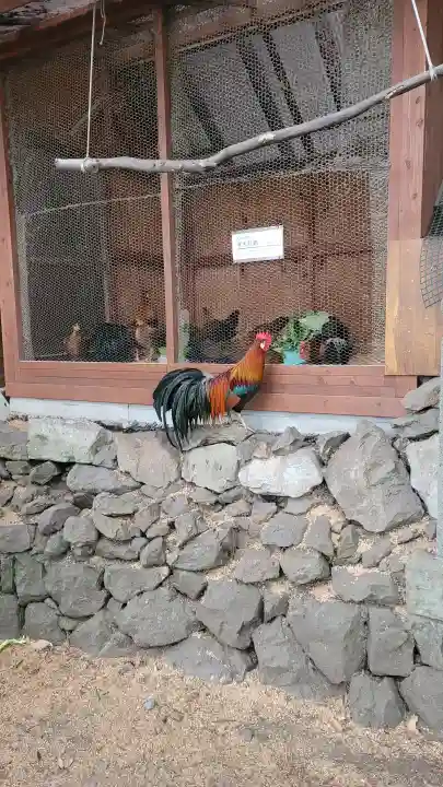 大甕神社の{uncategorized: "未分類", other: "その他", undefined: "問題あり", building: "その他建物", grave: "お墓", sacred_gate: "鳥居", guardian: "狛犬", statue: "像", buddha: "仏像", history: "歴史", nature: "自然", garden: "庭園", animal: "動物", pagoda: "塔", temizu: "手水舎", mountain_gate: "山門・神門", sanctuary: "本殿・本堂", subordinate: "末社・摂社", art: "芸術", scenery: "景色", jizo: "地蔵", ema: "絵馬", goshuin: "御朱印", omikuji: "おみくじ", items: "授与品その他", amulet: "お守り", goshuincho: "御朱印帳", eats: "食事", festival: "お祭り", votive_dance: "神楽", shichigosan: "七五三参", wedding: "結婚式", experience: "体験その他", initially: "初詣", around: "周辺", anti_infection: "感染症対策"}