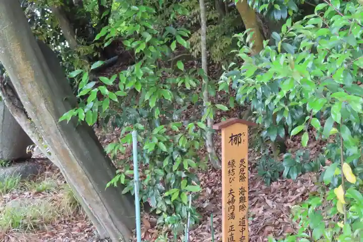 新宮神社の自然