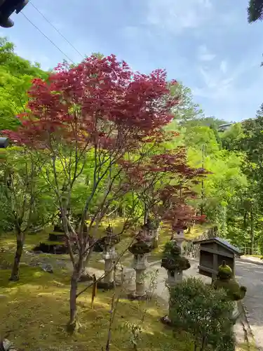 西明寺の庭園