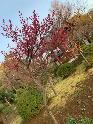 妙顕寺の庭園