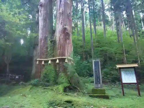 御岩神社の自然