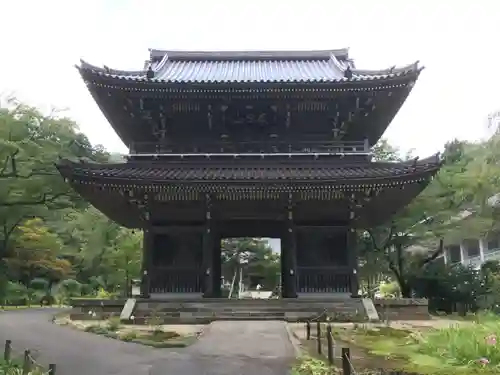 林泉寺の山門