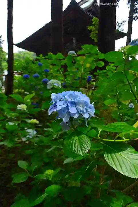 円覚寺(神奈川県)