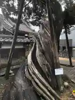 光明寺の御朱印