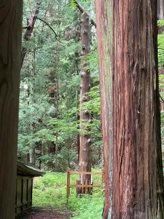 諏訪大社下社春宮(長野県)