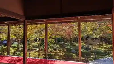 圓光寺(京都府)