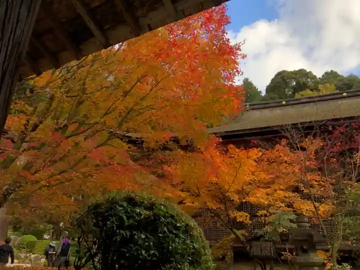 金剛輪寺の自然