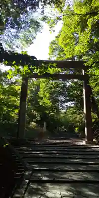 北海道神宮の鳥居