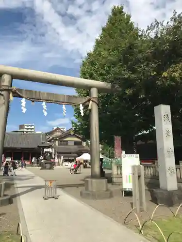 浅草神社の鳥居