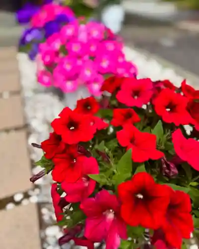 伊達神社(北海道)