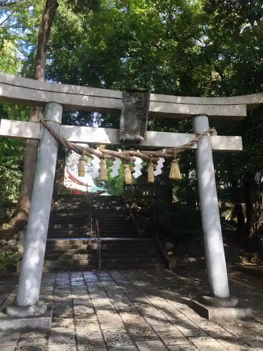 世田谷八幡宮の鳥居
