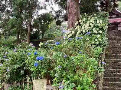 開眼寺(長野県)