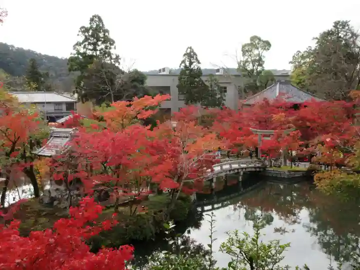 禅林寺(永観堂)の庭園