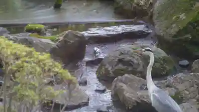 平安神宮(京都府)