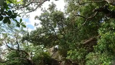 雲見浅間神社の自然