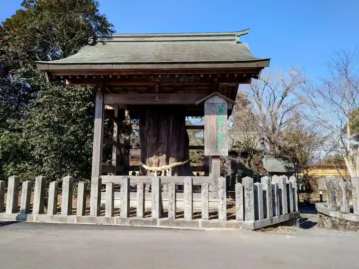 阿蘇神社(熊本県)