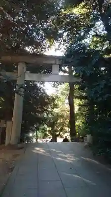 渋谷氷川神社の鳥居