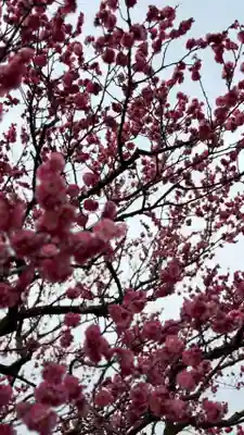 神前神社(岡山県)