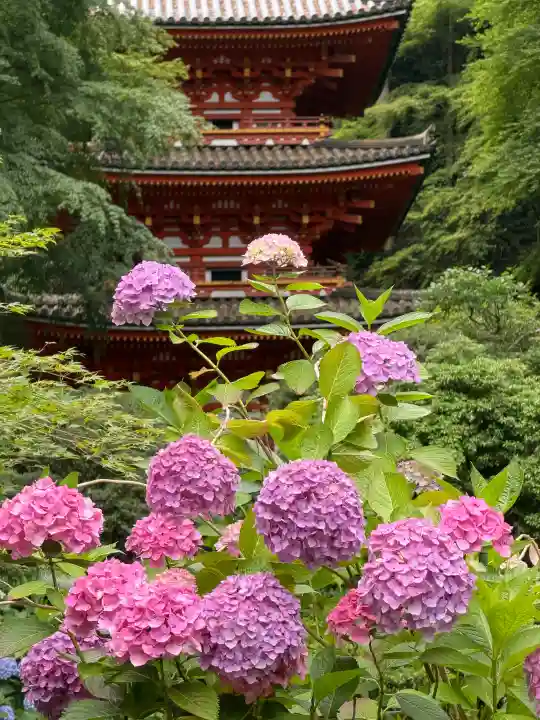 岩船寺(京都府)
