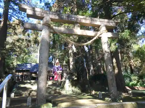 田ノ上八幡神社(宮崎県)