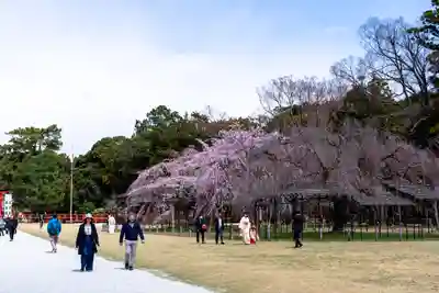 賀茂別雷神社（上賀茂神社）(京都府)