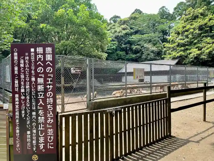 鹿島神宮(茨城県)