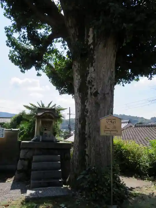 橋寺 放生院の自然