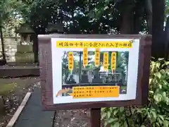 野々宮神社(埼玉県)