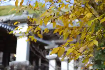 長谷寺(奈良県)