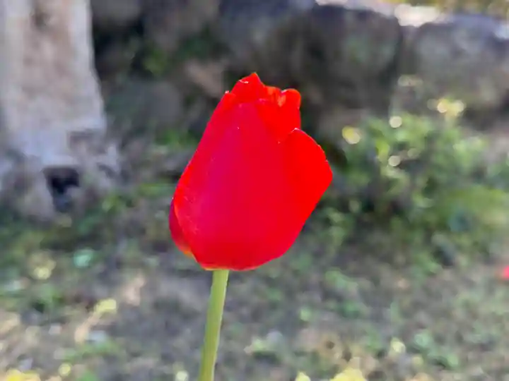 西方山極楽寺(岐阜県)