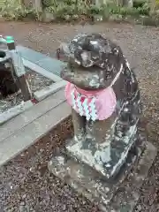 熊野那智神社の狛犬