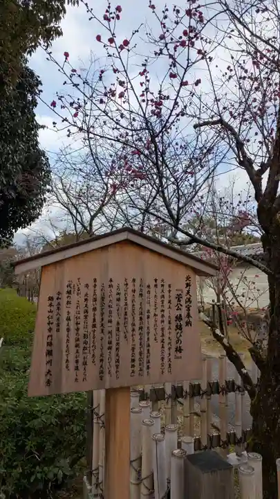 仁和寺(京都府)