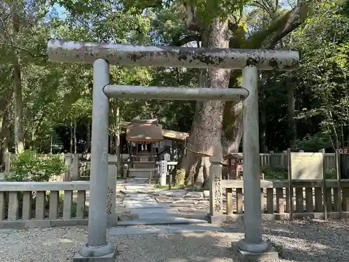 伊弉諾神宮(兵庫県)